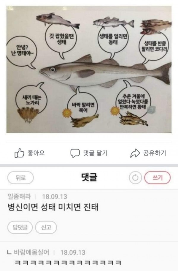 15551540490643.jpeg