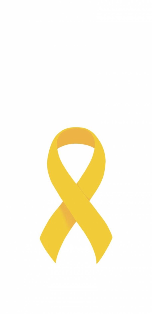 15551557534496.jpg
