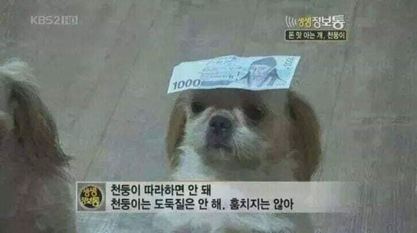 15595314618033.jpeg